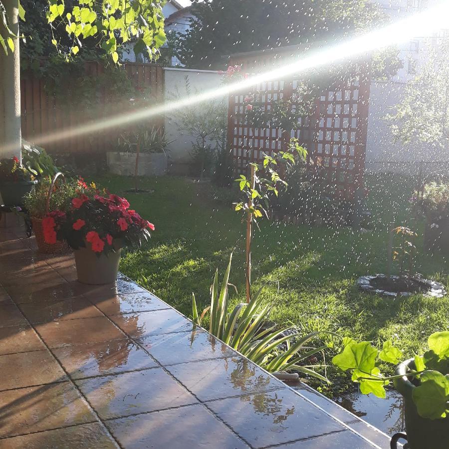 Vrnjačka Banja Apartmani Radulovic מראה חיצוני תמונה